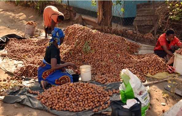 Where does agriculture begin and end? Natural Ecosystems have Rights too!