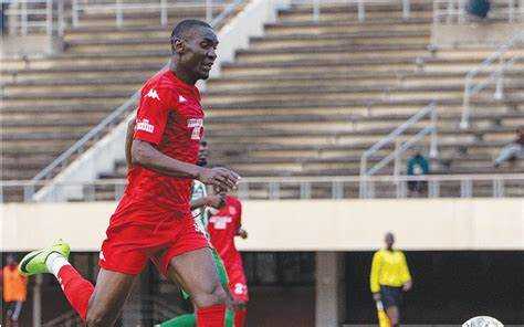 DeMbare must be respectful: Black Rhinos
