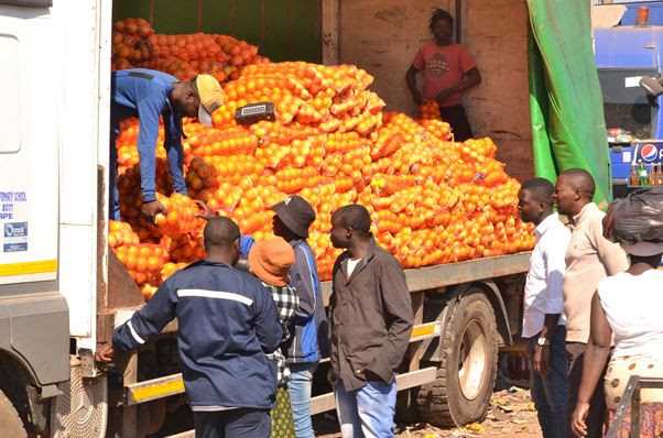Data poverty drives Africa’s perpetual food insecurity