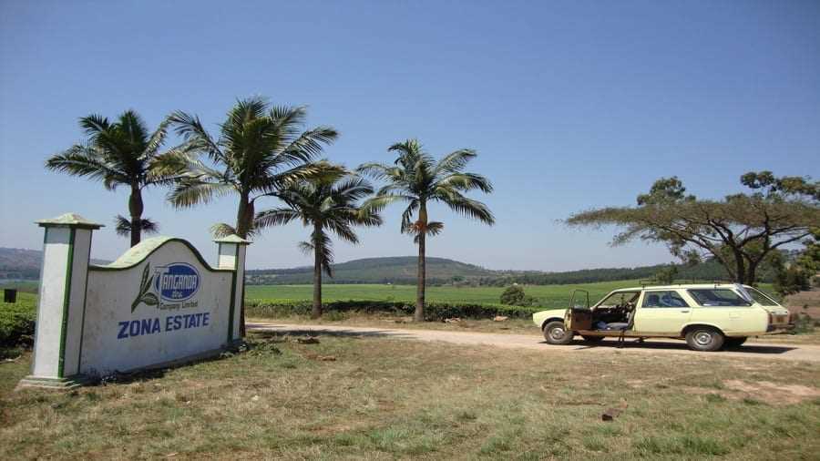Tanganda instals 3 solar plants