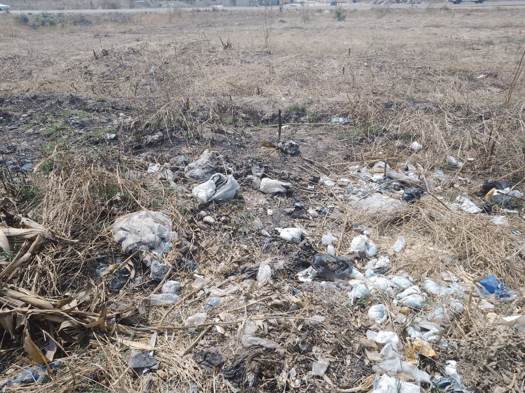 Why heaps of diapers choking Harare are everyone's business