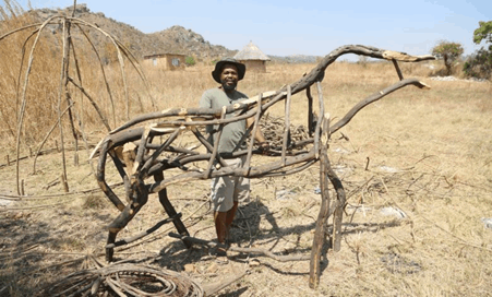 Zimbabwean artists turn lantanta into fantastic beasts