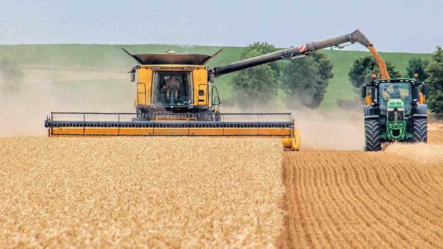 90 000 tonnes of wheat harvested