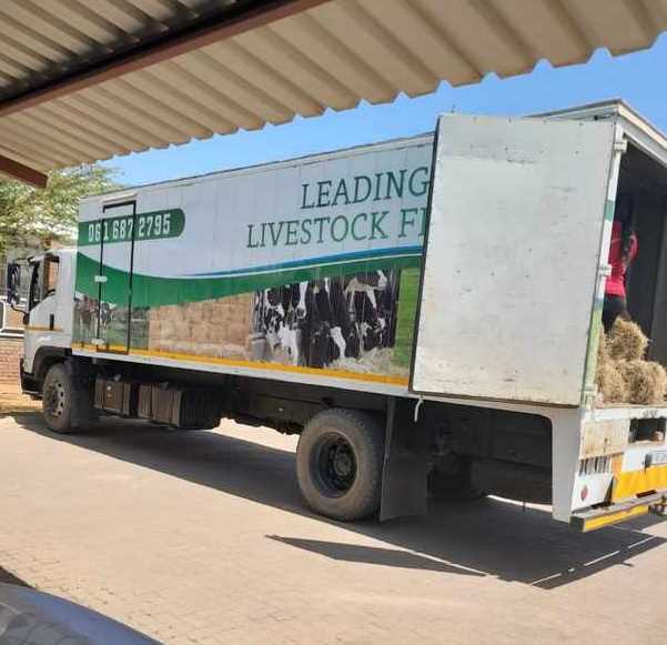 SA police arrest two people in possession of cigarettes, worth R70 000, on the N1 from Zimbabwe
