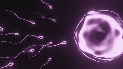 Global sperm counts drop by 50% in 5 decades