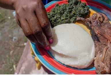Timely data key in food security, human displacement management