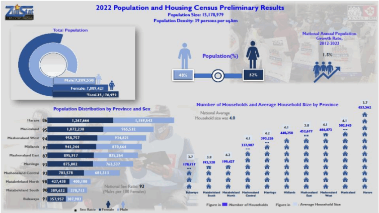 Zim census 2022: is 2 million more people in 10 years too little?