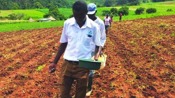 Farmers start planting