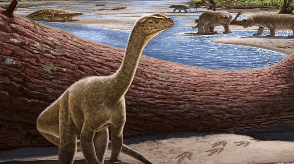 Oldest African dinosaur skeleton found in Mbire
