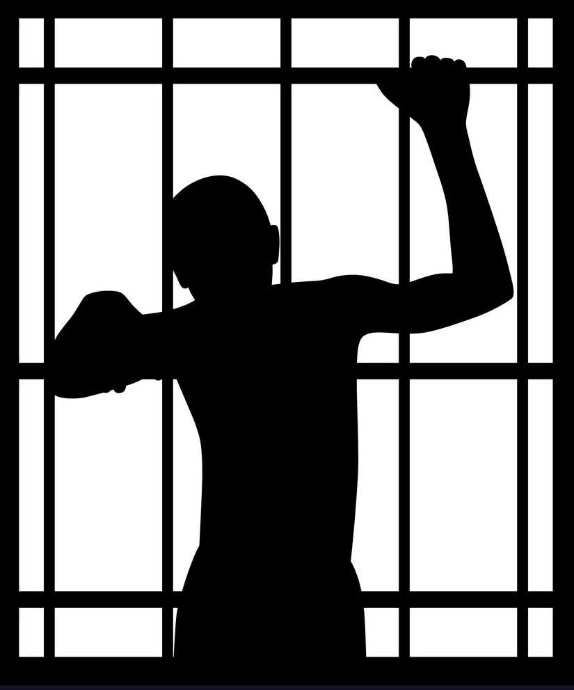 Serial fraudster remanded in custody