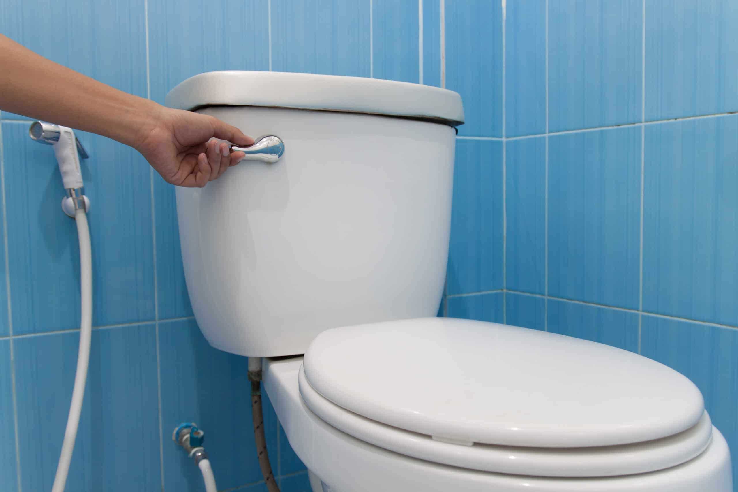 Flush toilets for rural schools