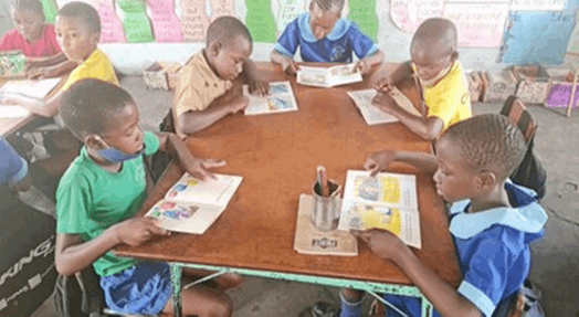 Lwendulu Primary receives books from Devon school
