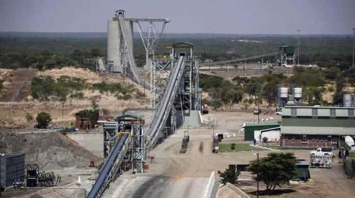Zim growing into global platinum force