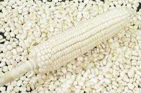 General manager accused of stealing maize