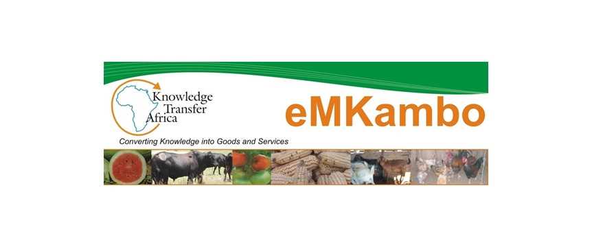 7 critical uncertainties that affect African farmers and food systems