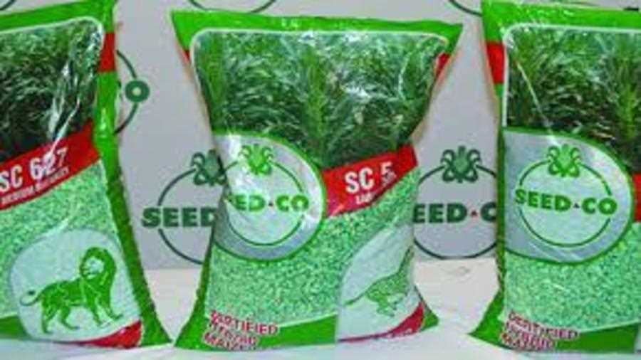Seed-Co Q3 volumes buoyed by forex sales, exports
