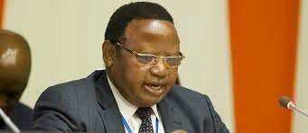 Zim-China Business Forum kicks off