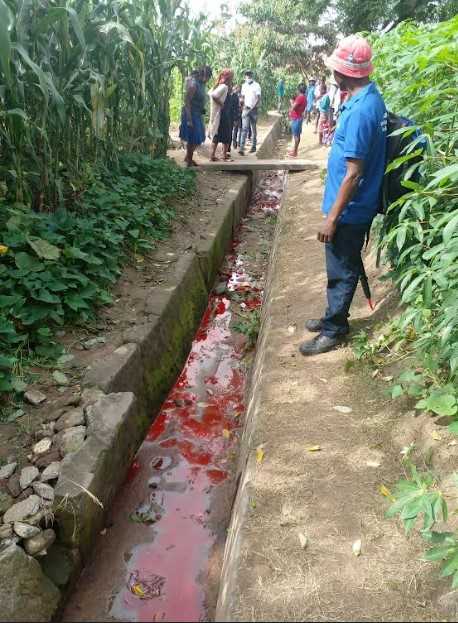 Blood-like liquid test results pending
