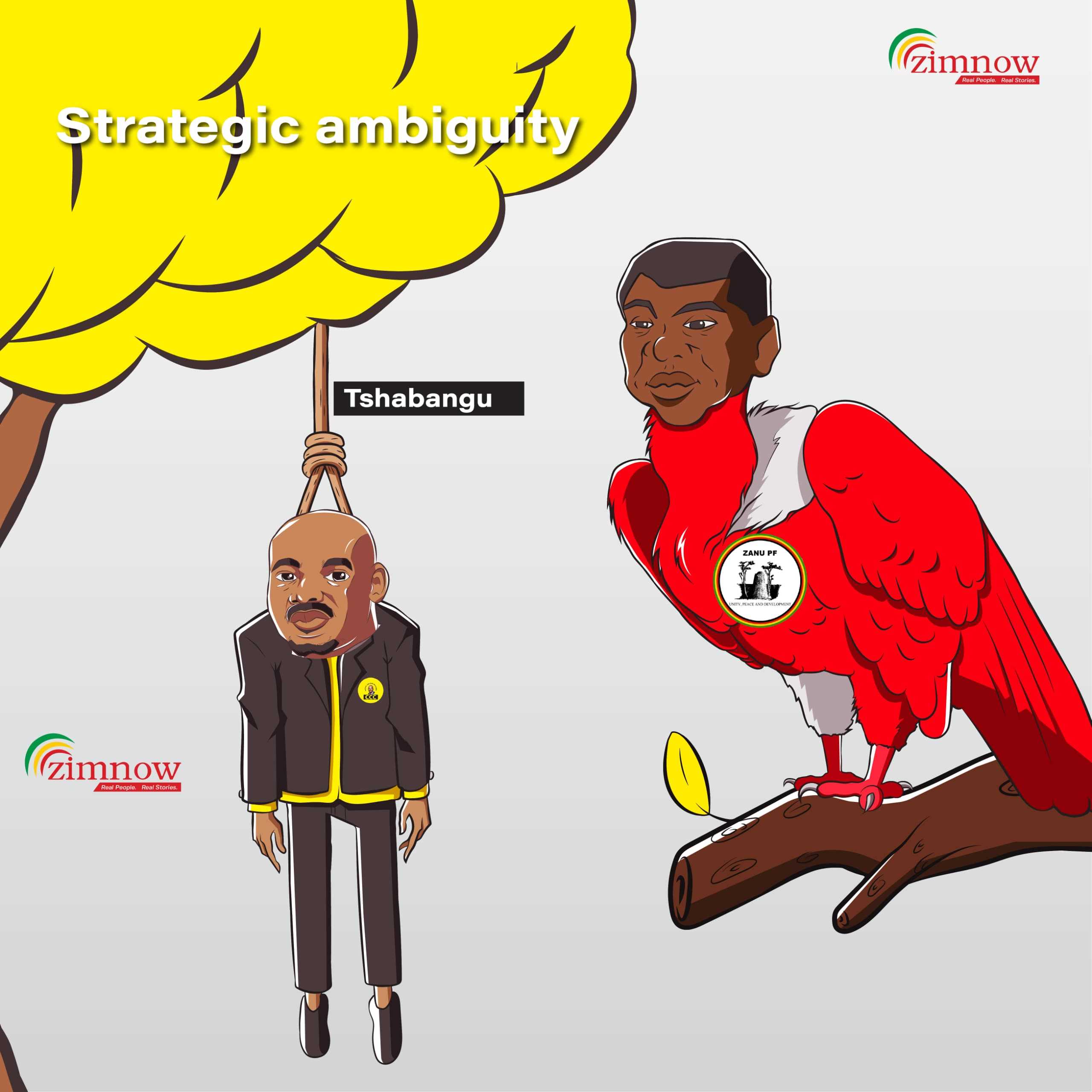 Chamisa has not learnt any lessons: Opinion