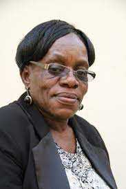 Senator proposes Diaspora Tax