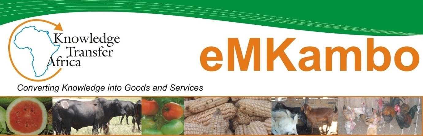 Preserving indigenous African food systems through reconstructive writing