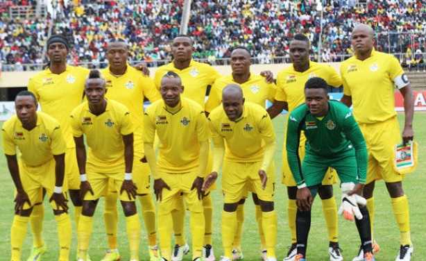 Warriors date Botswana as Zifa battles to appoint substantive coach