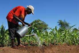 EU, Switzerland invest over €200 million in climate-smart agriculture