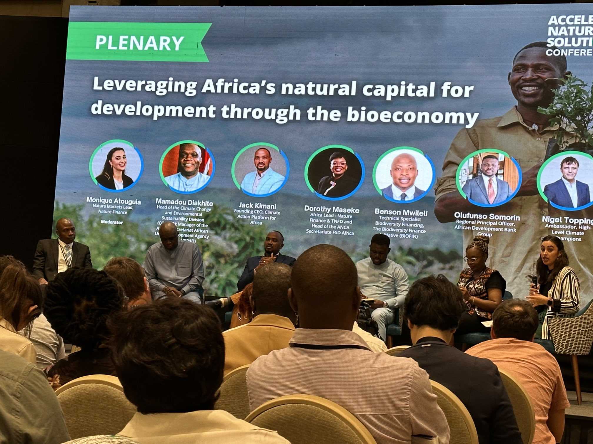 African countries urged to harness nature-based solutions to accelerate development