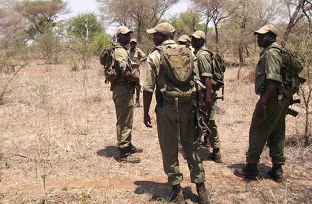 Zambian poachers kill Zimbabwean villager in Zambezi