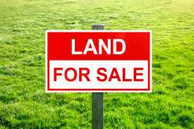 Woman attempts to defraud US$46k in land deal