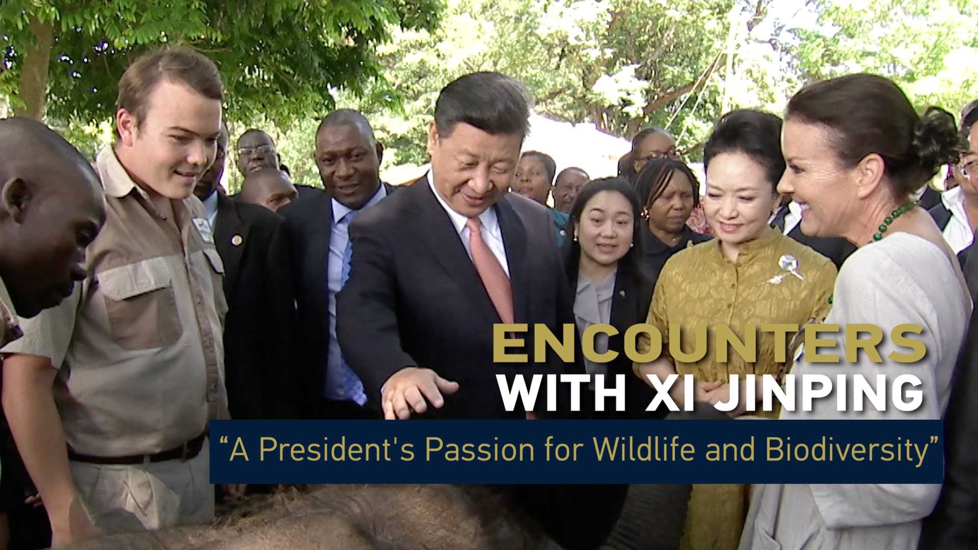 Zim wildlife sanctuary founder recalls President Xi’s passion for wildlife and biodiversity