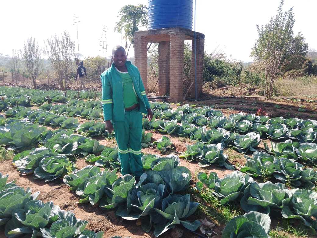 Hard work turns family plot into green pride in arid Zaka: The success story of Philemon Sagope