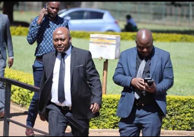 category photo