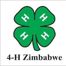 4-H Zimbabwe shortlisted for the World Justice Challenge