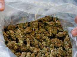Man nabbed for possessing dagga