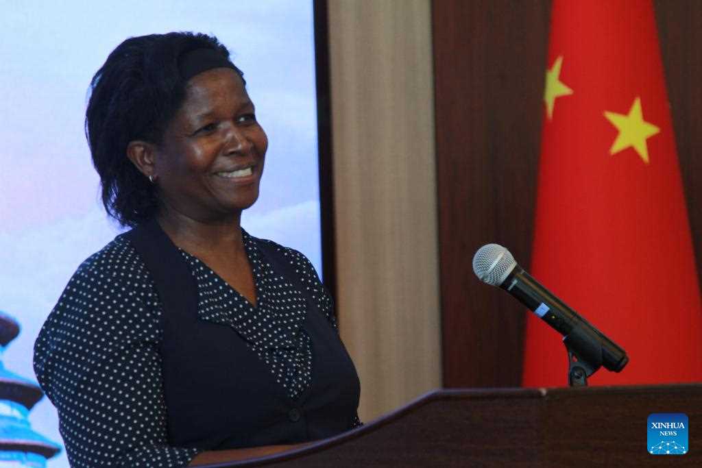 China, Zimbabwe cooperation enhances human resources development