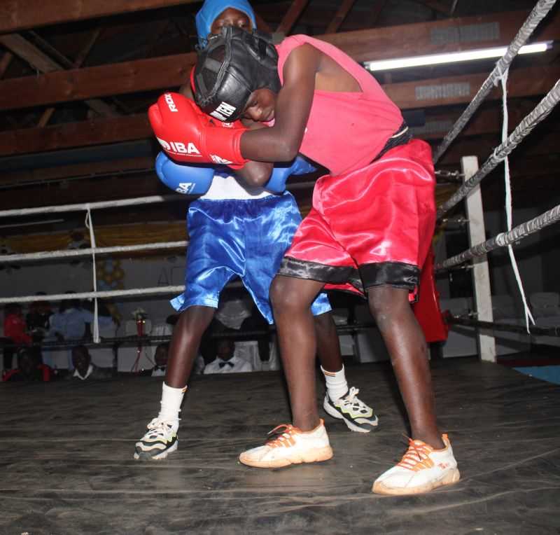 category photo