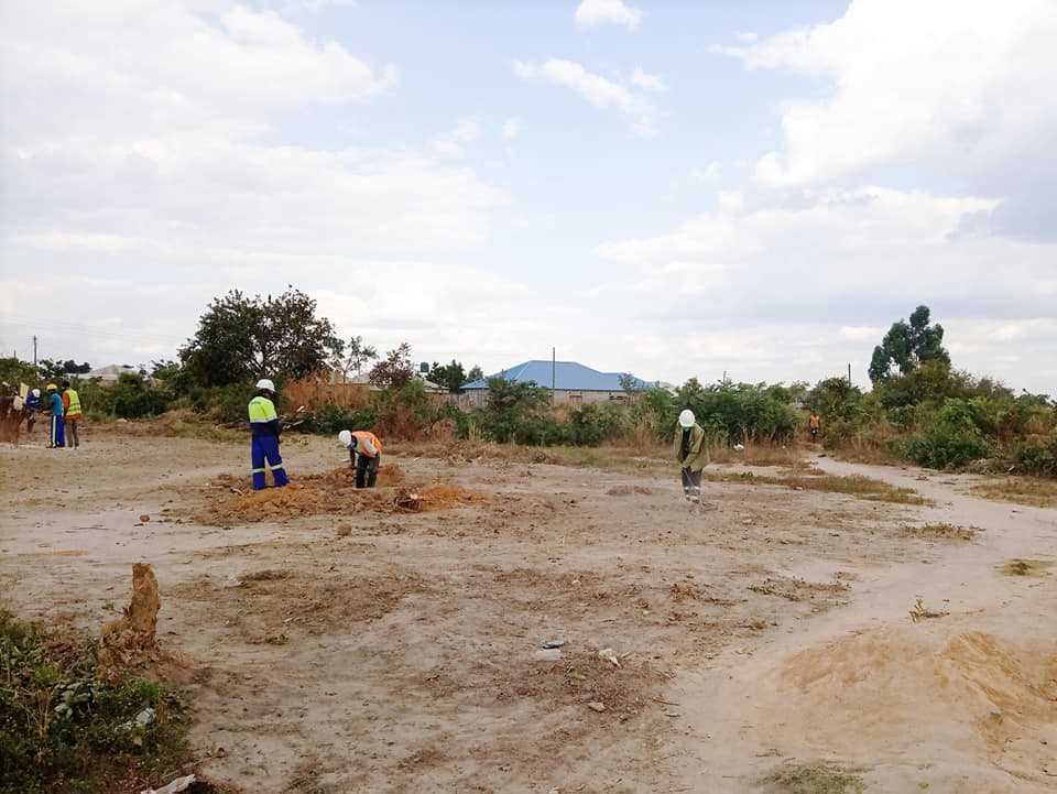 category photo