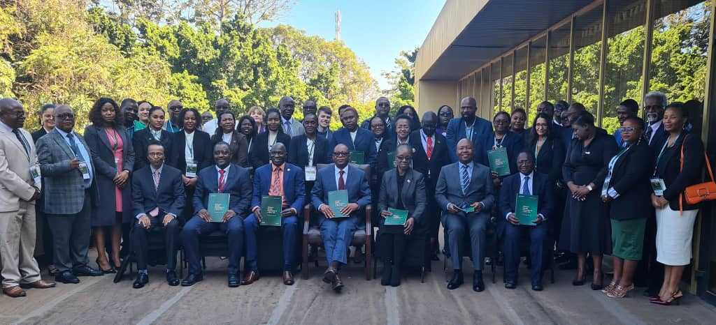 category photo