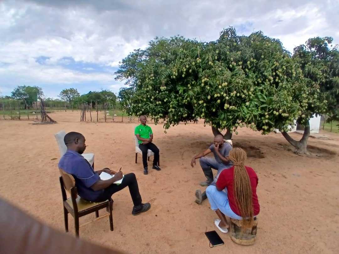 category photo