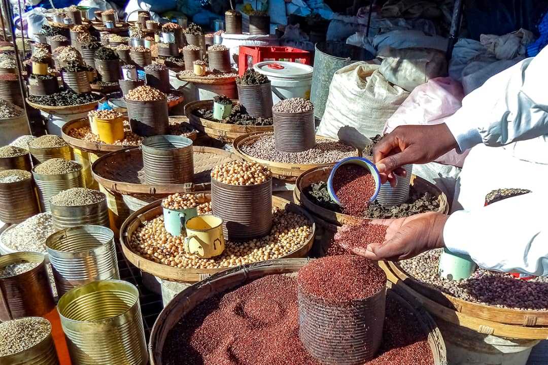 Zimbabwe Records Major Boost in Crop Yields