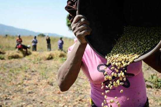 Zimbabwe Strengthens Climate-Smart Agriculture Initiative
