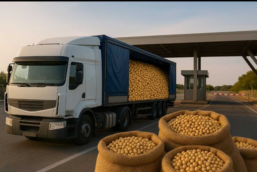 Truck Driver Diverts Zim Gold Soya Bean Consignment Worth US$19k