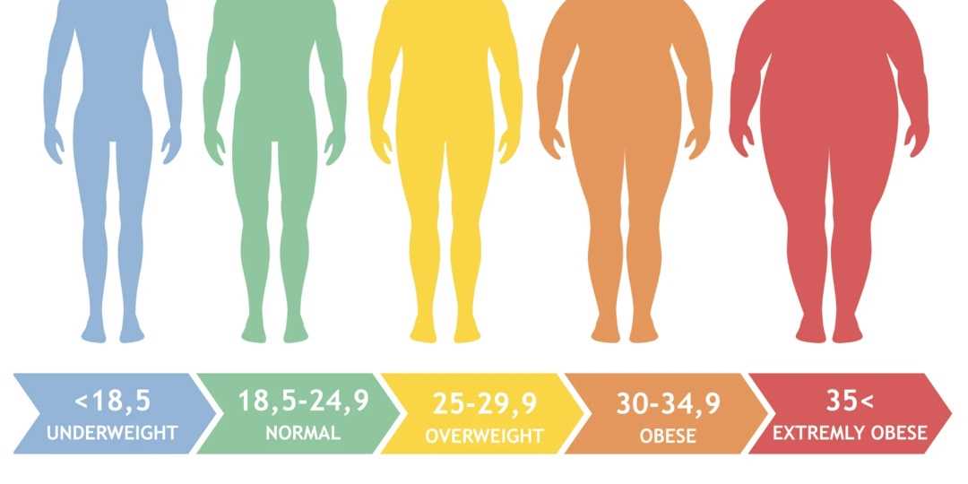 Govt Wary of Adult Obesity Levels
