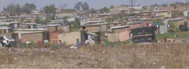 category photo
