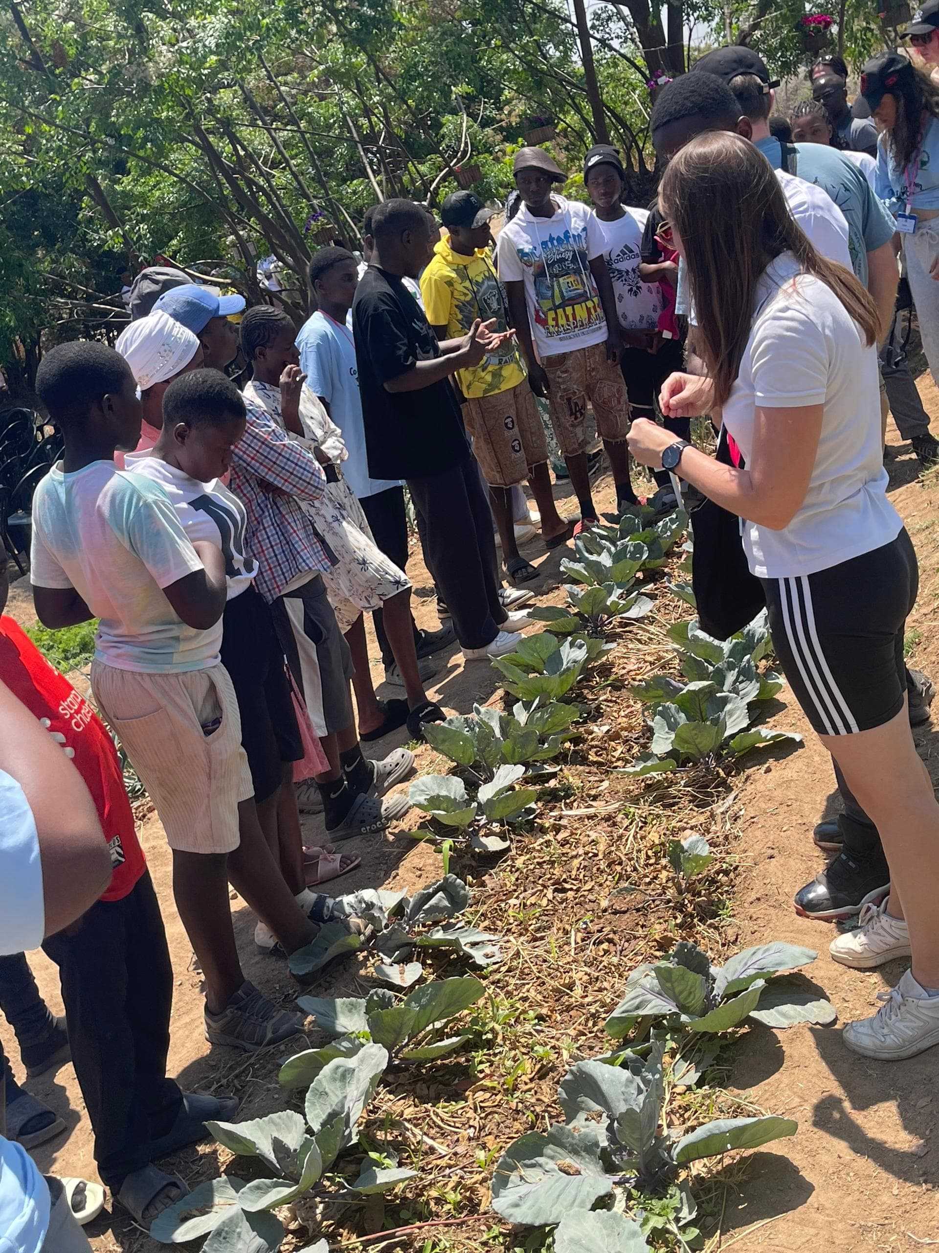 Youth exchange turns Domboshava garden into lesson in community enterprise