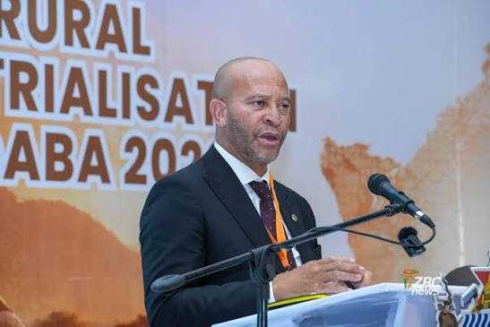 category photo