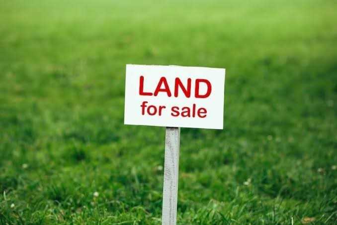 Two Glen View women sue alleged land baron over K4,5 housing scam