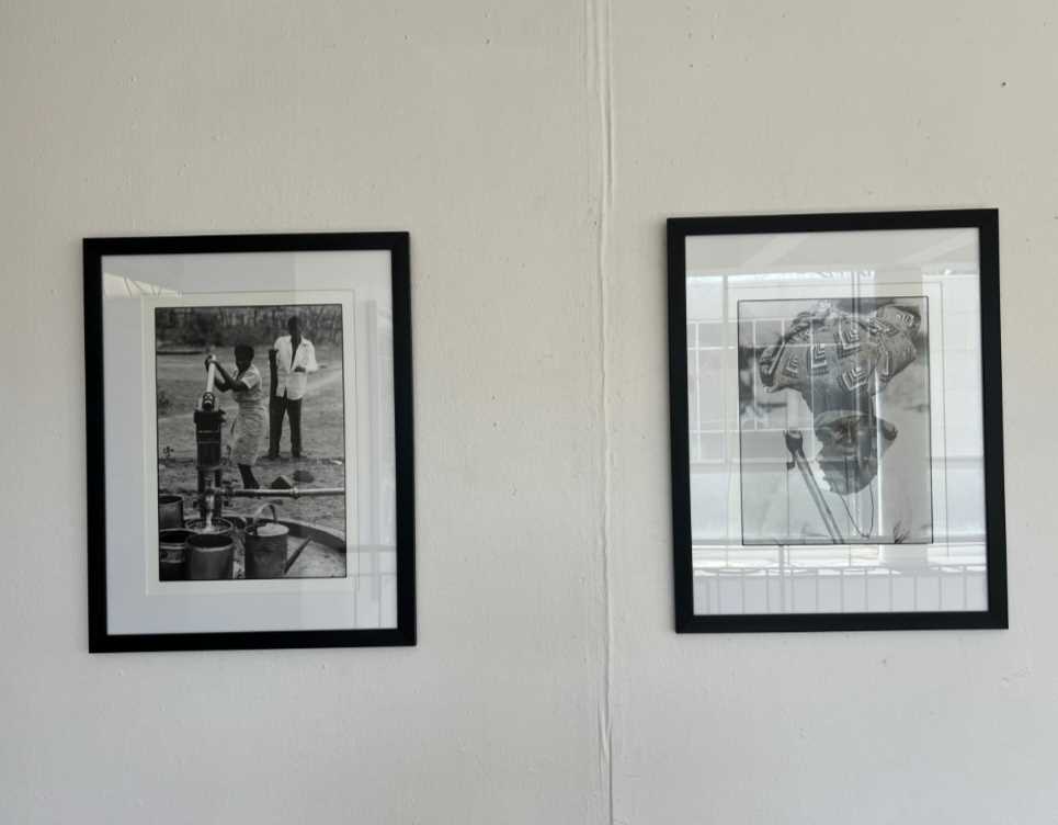 category photo