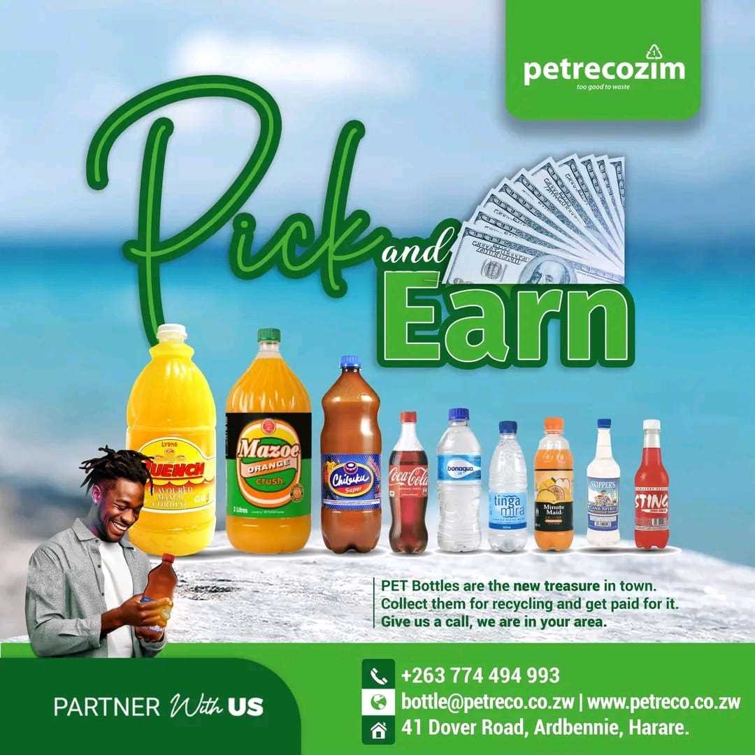 Pick and Earn: From Litter Picker to Fruit Dryer Owner